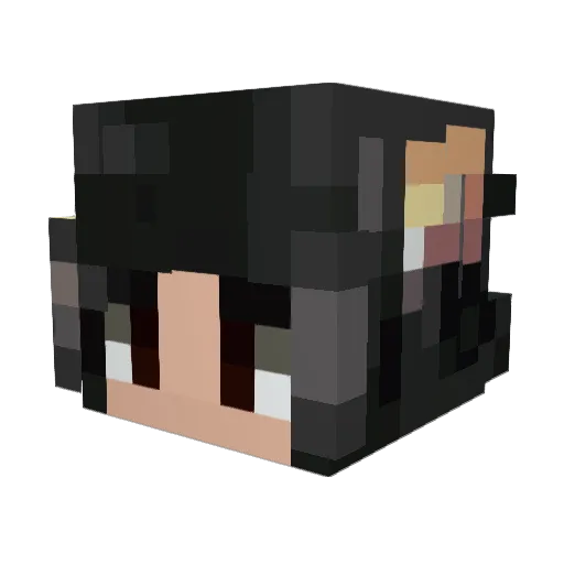 LiteralLiterate Minecraft avatar head, 3D render