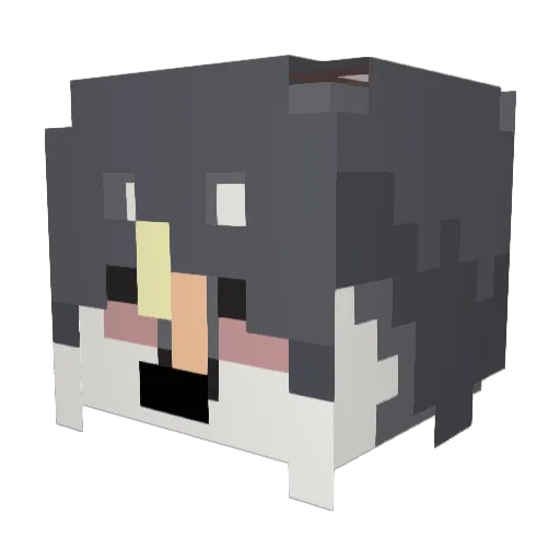 LiterallyArlee Minecraft avatar head, 3D render