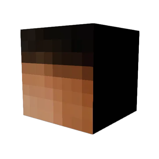 LiterallyLarnold Minecraft avatar head, 3D render
