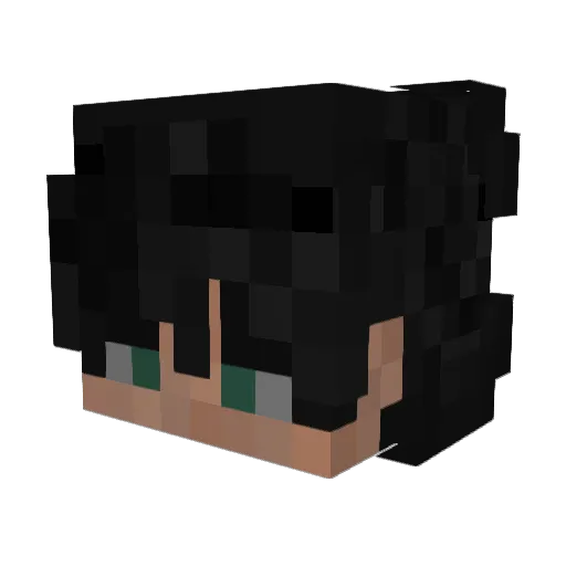 LiterallySnow Minecraft avatar head, 3D render