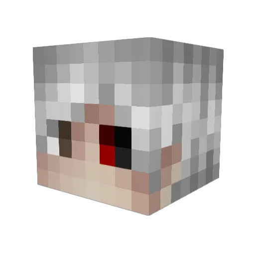 Literally_Salt Minecraft avatar head, 3D render