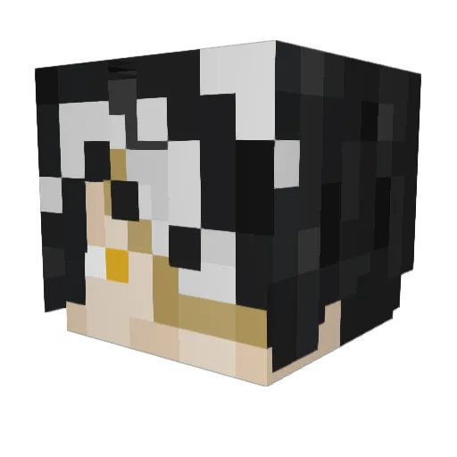 Literally_Wad Minecraft avatar head, 3D render