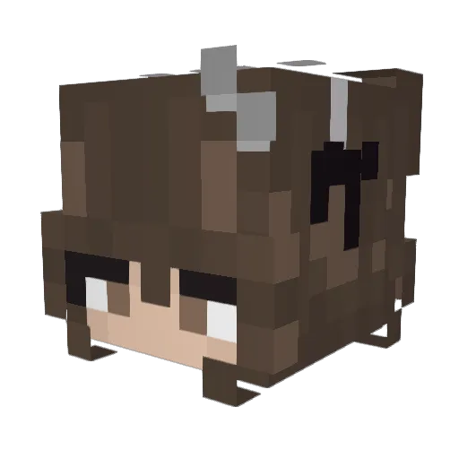 Literallykarlaa Minecraft avatar head, 3D render