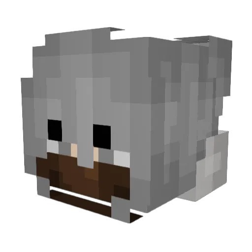 Literapol Minecraft avatar head, 3D render
