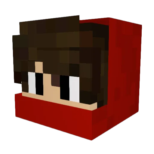 LiterarYPoweR Minecraft avatar head, 3D render