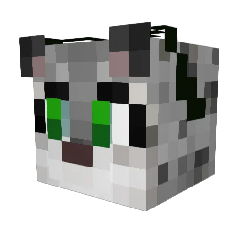 LiteraryChimera Minecraft avatar head, 3D render