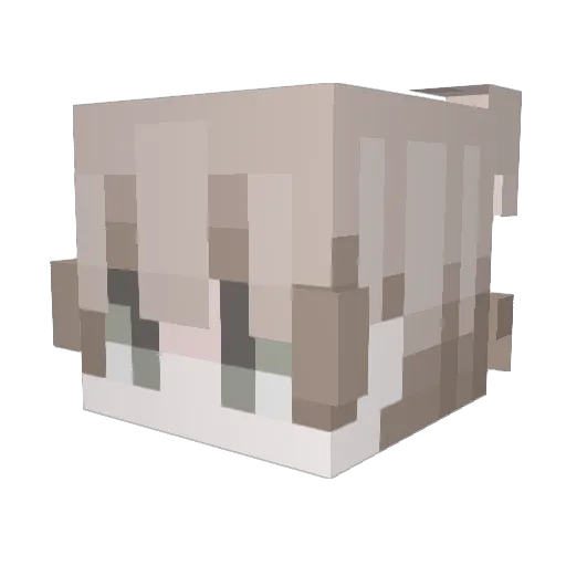 Litey Minecraft avatar head, 3D render