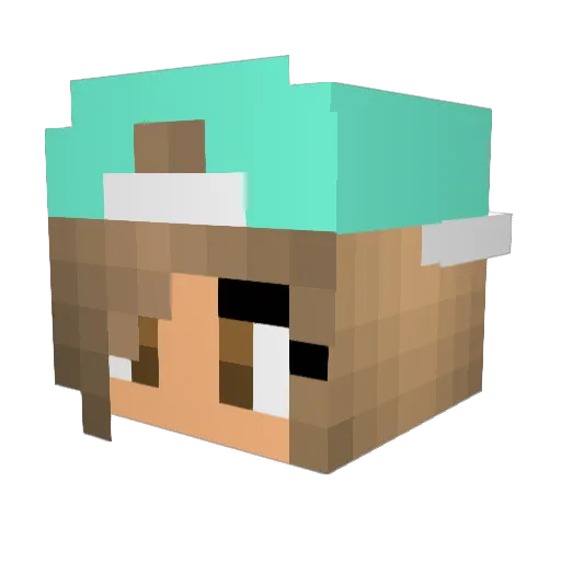 Litfam18 Minecraft avatar head, 3D render