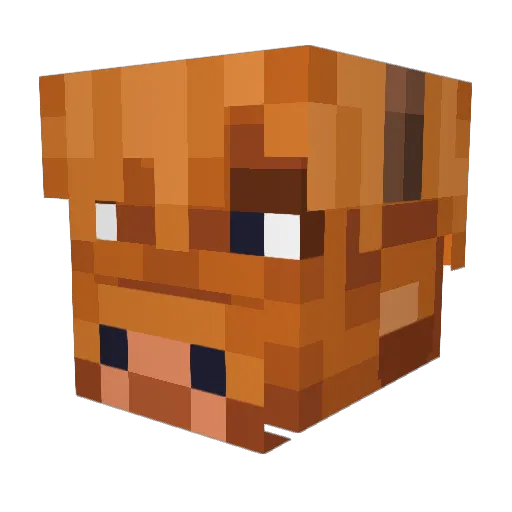 Litgit_ Minecraft avatar head, 3D render