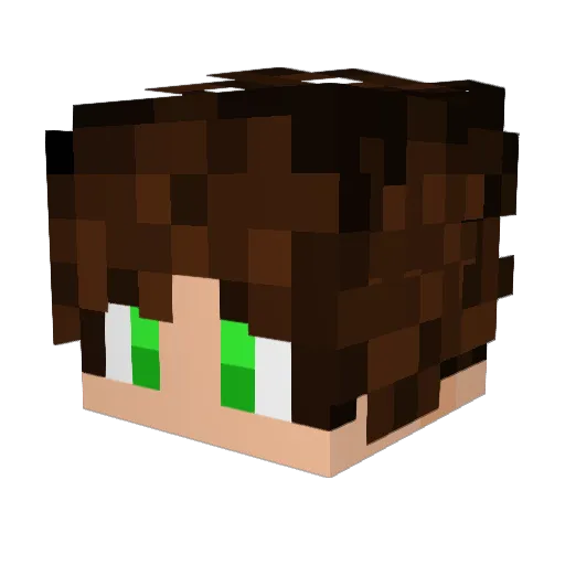Lithanya Minecraft avatar head, 3D render