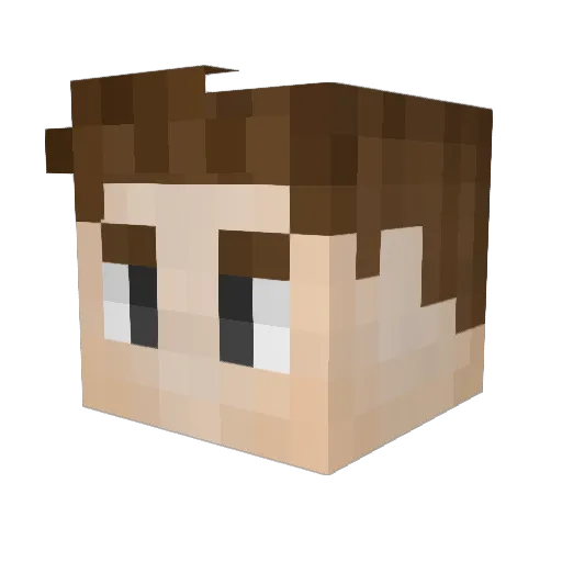 Litheaurora Minecraft avatar head, 3D render