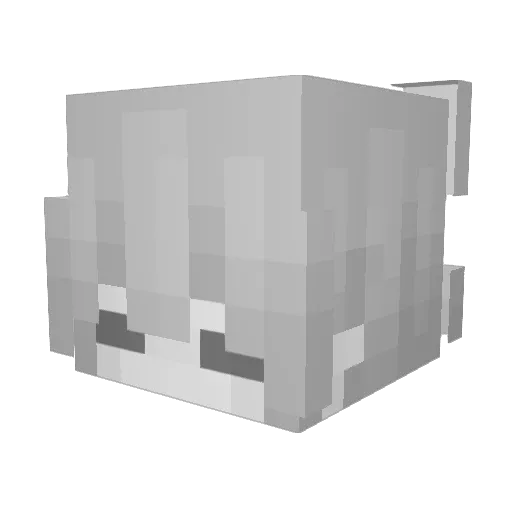 Lithiinho Minecraft avatar head, 3D render