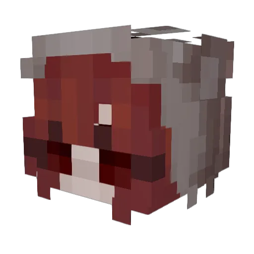 LithiumLith Minecraft avatar head, 3D render