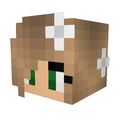 LithiumPhoenix Minecraft avatar head, 3D render