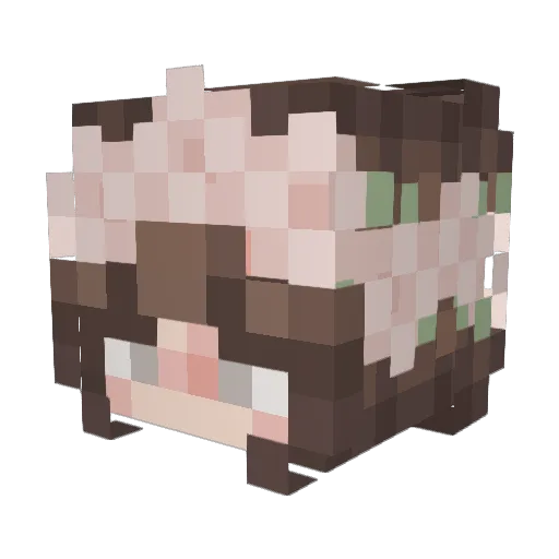 LithiumRocks Minecraft avatar head, 3D render