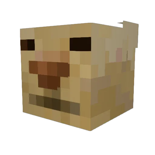 Litigation Minecraft avatar head, 3D render