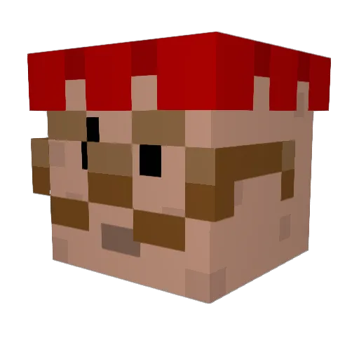 Litoss33 Minecraft avatar head, 3D render