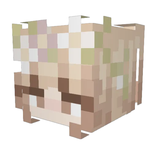 Litrlysellsona Minecraft avatar head, 3D render