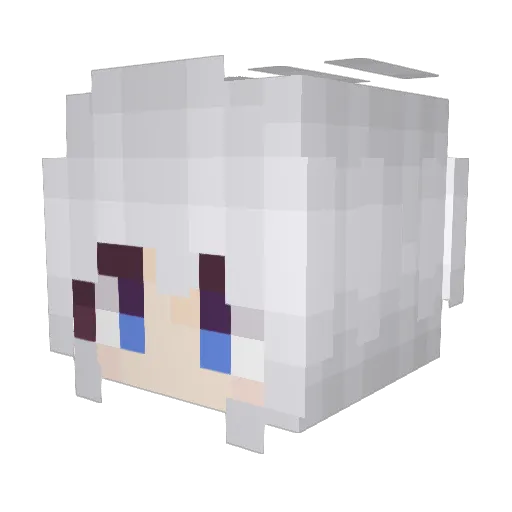 Litrot Minecraft avatar head, 3D render