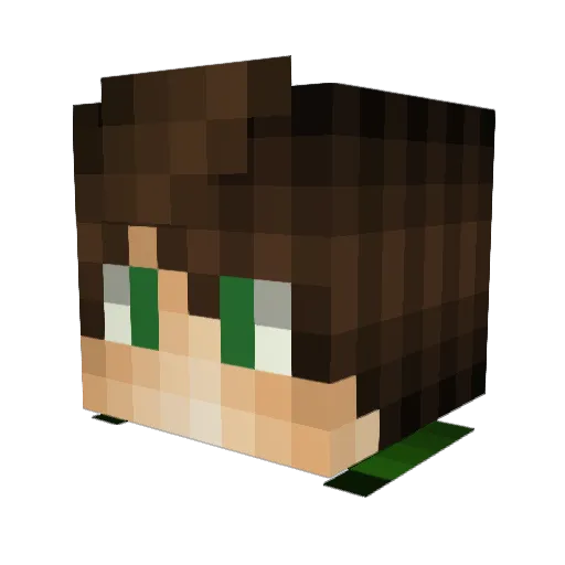 Littdawgxx Minecraft avatar head, 3D render