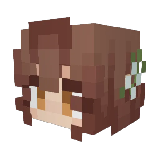 LittenKitten13 Minecraft avatar head, 3D render