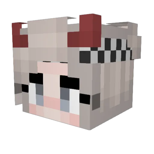 LitterBug229 Minecraft avatar head, 3D render