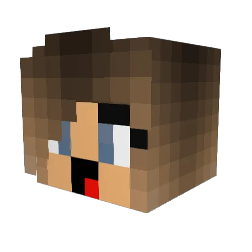LittleAcid01 Minecraft avatar head, 3D render