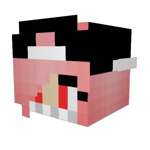 LittleBeatz Minecraft avatar head, 3D render