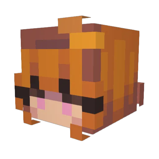 LittleBelly123 Minecraft avatar head, 3D render