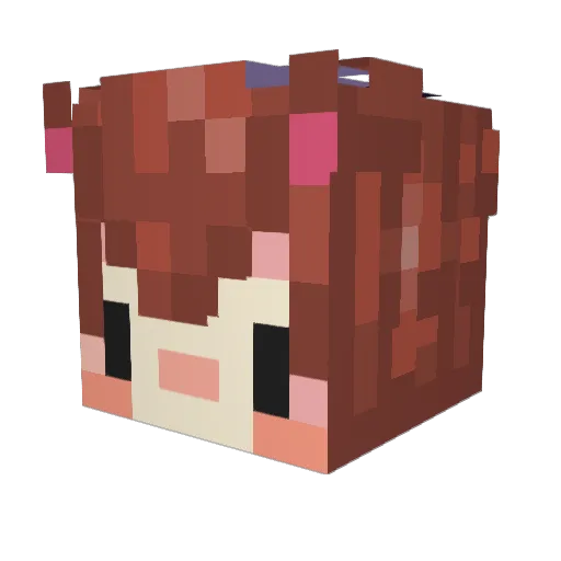 LittleBigBro1 Minecraft avatar head, 3D render