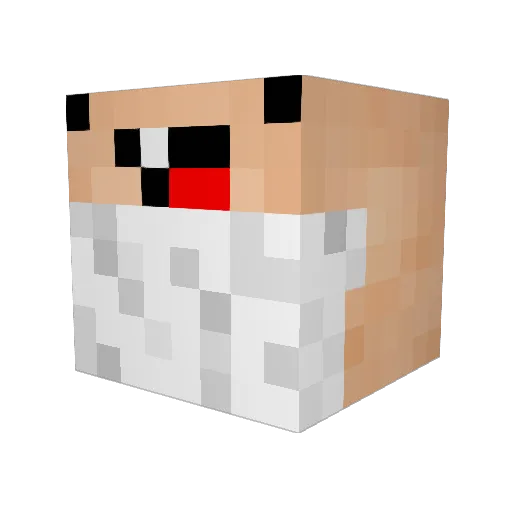 LittleBigMan1212 Minecraft avatar head, 3D render