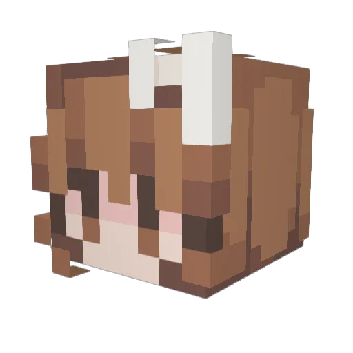 LittleBigMike24 Minecraft avatar head, 3D render