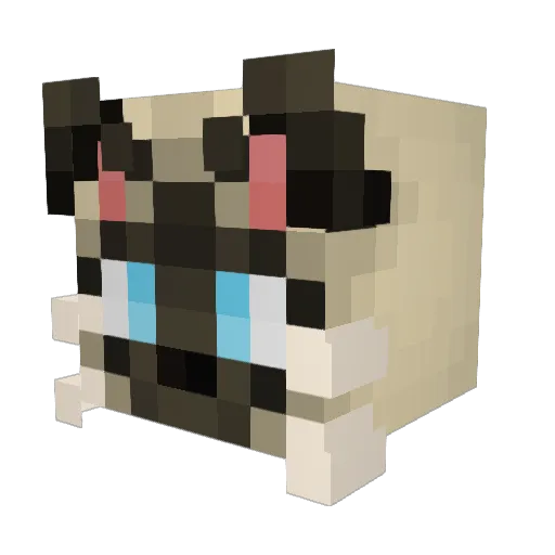 LittleBiscuit2 Minecraft avatar head, 3D render