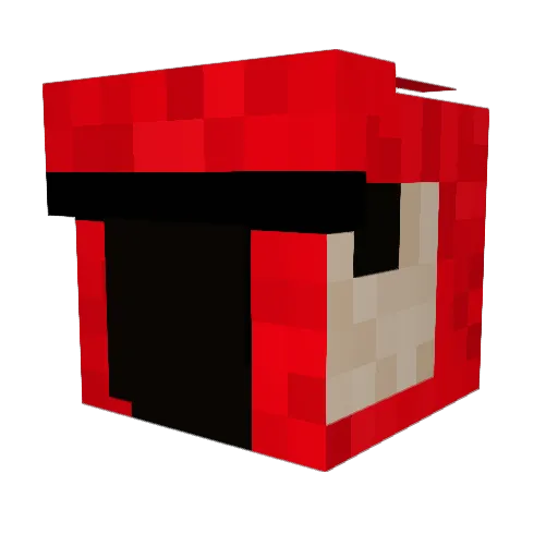 LittleBlackbirdy Minecraft avatar head, 3D render