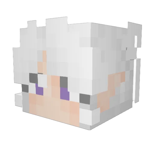 LittleBlub_ Minecraft avatar head, 3D render