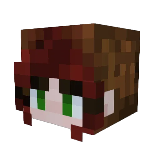 LittleBlueyXD Minecraft avatar head, 3D render