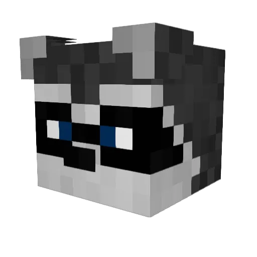 LittleBoyWonder Minecraft avatar head, 3D render