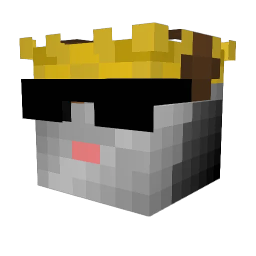 LittleBrother81 Minecraft avatar head, 3D render