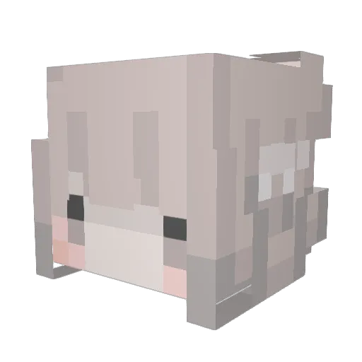 LittleChickeniii Minecraft avatar head, 3D render