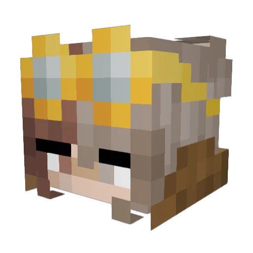 LittleCrow_ Minecraft avatar head, 3D render