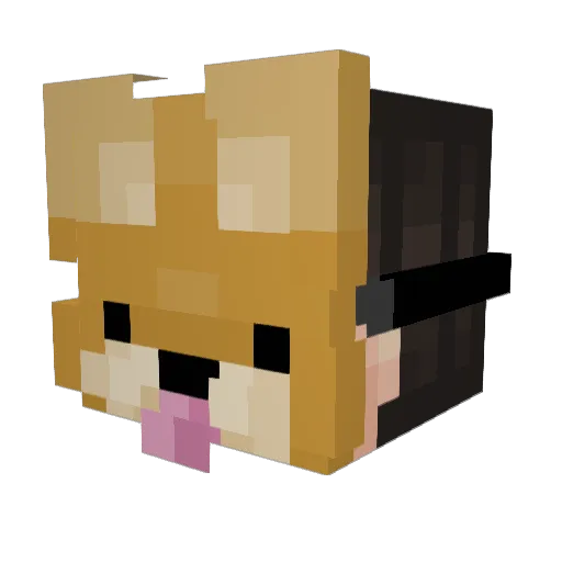 LittleDargon Minecraft avatar head, 3D render