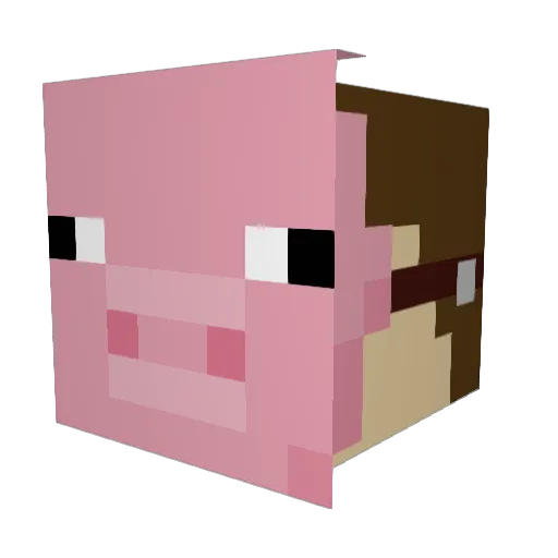 LittleDrift666 Minecraft avatar head, 3D render