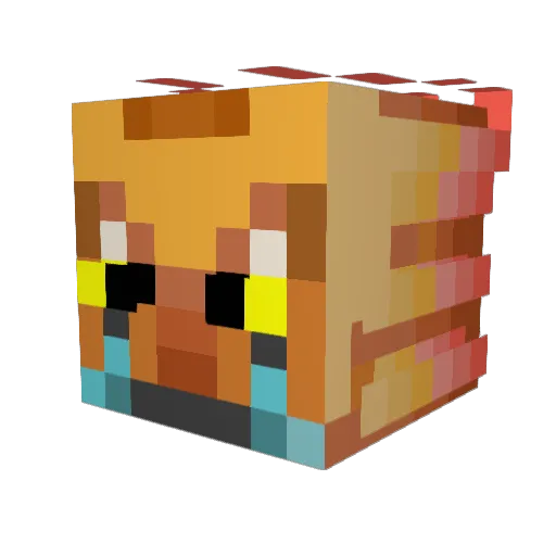 LittleDuck011 Minecraft avatar head, 3D render