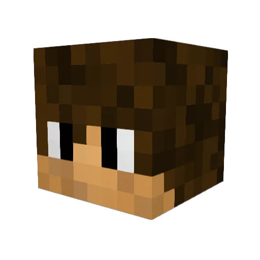 LittleElf17 Minecraft avatar head, 3D render