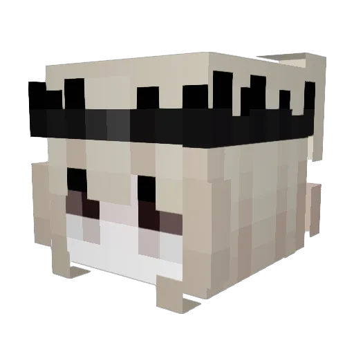 LittleExi Minecraft avatar head, 3D render