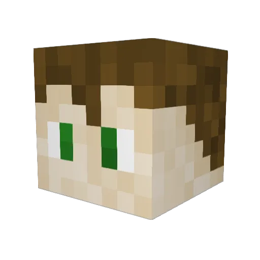 LittleFire815 Minecraft avatar head, 3D render