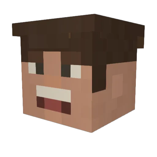 Minecraft-Avatar von LittleFischy: Kopf als 3D-Render