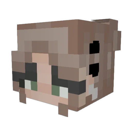 LittleFloofyCatz Minecraft avatar head, 3D render