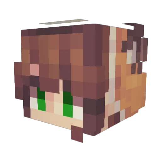 LittleGem19 Minecraft avatar head, 3D render