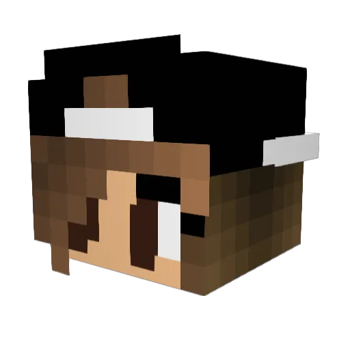 LittleGremlinn Minecraft avatar head, 3D render